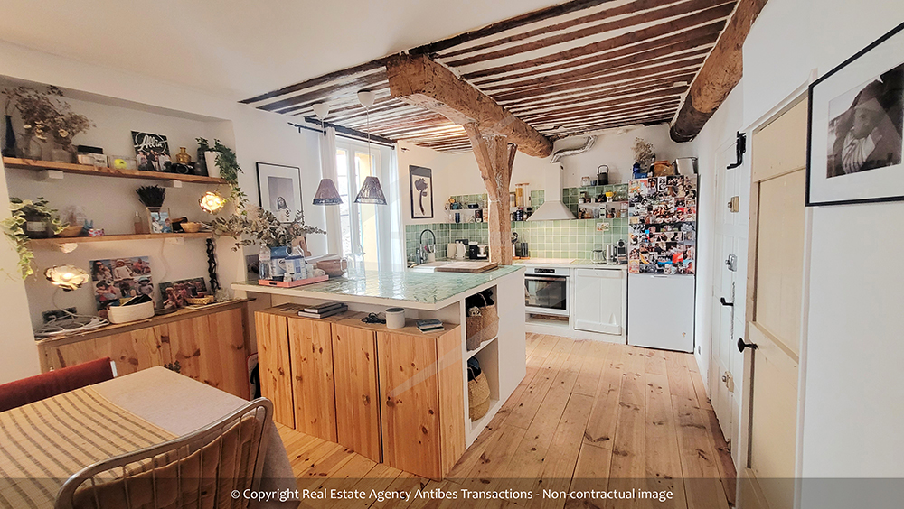 view of the open kitchen of the flat